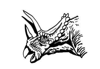  vector portrait of triceratops  isolated on white background, element for typography , design and tattoo © Vita