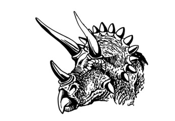  vector portrait of triceratops  isolated on white background, element for typography , design and tattoo © Vita