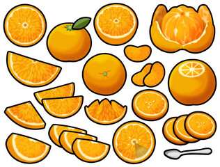 色々なオレンジ