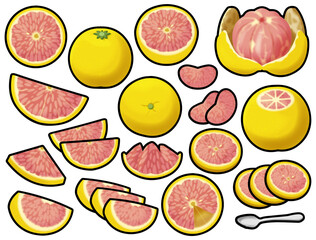 色々なピンクグレープフルーツ
