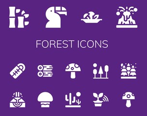 Modern Simple Set of forest Vector filled Icons