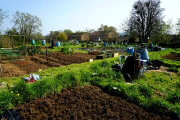 Allotment days