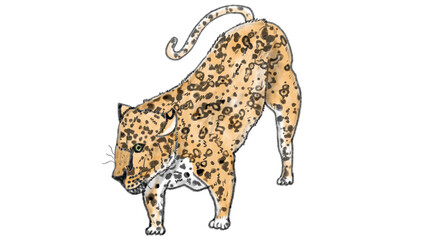 ジャガー色鉛筆・水彩風イラスト