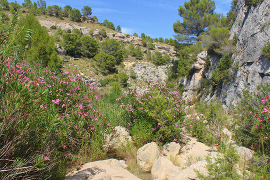 Fuente Caputa, Mula, Murcia