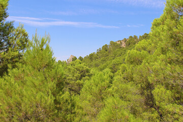 Fototapeta na wymiar Fuente Caputa, Mula, Murcia