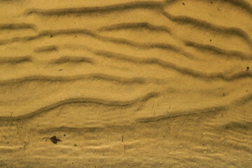 background of undulating sand dunes at the bottom of the river