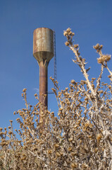 dry thistle on the background of an old water tower and blue sky