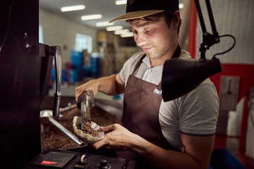 Handsome male worker checking quality of coffee beans
