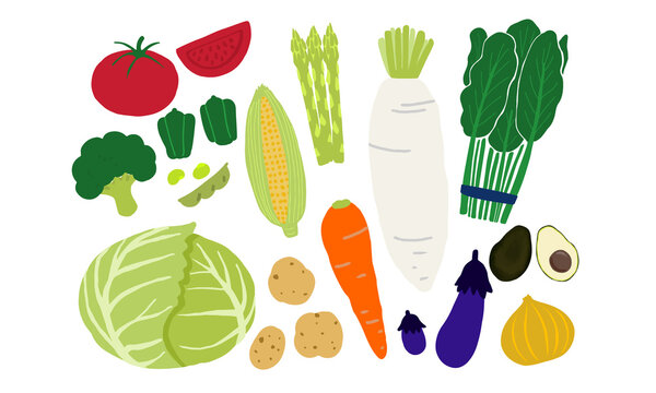 野菜-vegetables