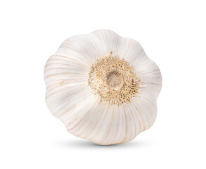 garlic on white background