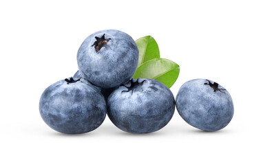 blueberries on white background
