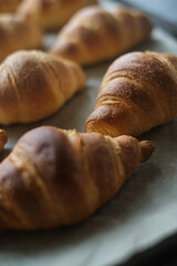 fresh baked croissant