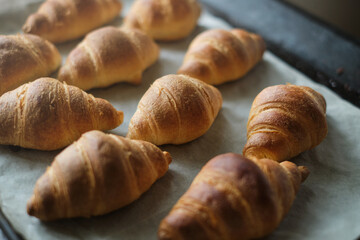 fresh baked croissant