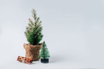 Winter layout with a small Christmas tree on a blue background