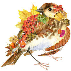 Cute bird. watercolor illustration. forest animal. autumn nature. colorful leaves. wildlife. 