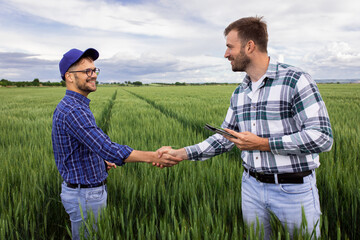 Naklejka na ściany i meble Two farmers making agreement with handshake in green wheat field.