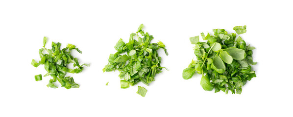 Fresh Green Chopped Basil Leaves Isolated on White Background - obrazy, fototapety, plakaty