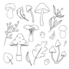 Set of Fall's elements like mushrooms, autumn leaves. Vector illustrations