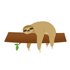 Cartoon cute sloth lies on tree. Vector animal character on white background.
