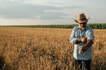 Naklejka na ściany i meble farmer standing in wheat field