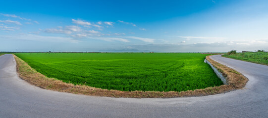 Hairpin bend road near rice fields in Valencia