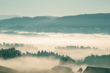 Morning scenery with silhouettes of trees and hills, mist and fog in the mountains, alps, Bavaria,...