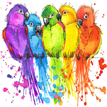 Funny parrots. watercolor illustration. tropical nature. cute birds. wildlife. african animals. 