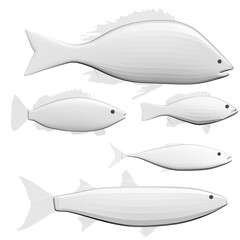 Set with polygonal diverse fishes isolated on a white background. 3D. Vector illustration