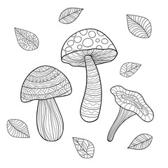 Hand drawn mushrooms and fallen leaves with fantasy patterns. Autumn illustration on white isolated background. For coloring book pages.