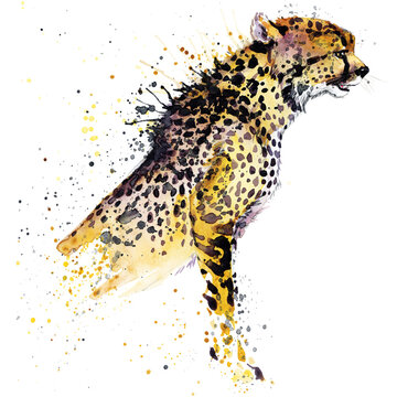 cheetah hand drawn watercolor illustration