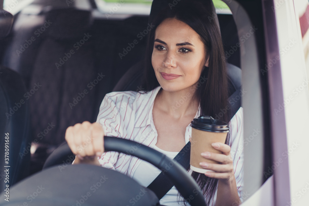 Sticker close-up portrait of her she nice attractive charming gorgeous content busy successful businesslady 