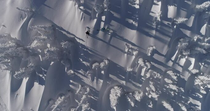 Aerial Top view of Skiers. Ski touring and splitboarding concept. Winter Day. Epic shot of ski man crossing the frame in frozen forest. 4k RAW footage