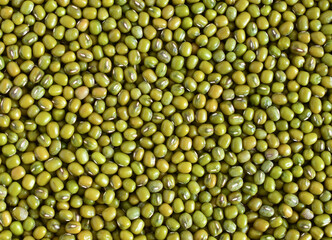 Mung bean seed or Green beans background , background pattern,Top view..