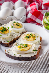 delicious and nutritious cheese and boiled egg sandwich