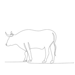 vector, isolated, one line drawing bull