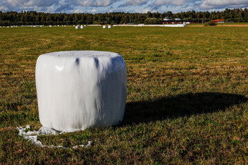 Sunne, SwedenA hay bale in a field.