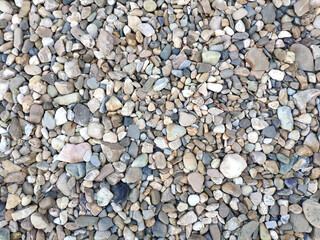 What a wonderful photo-treasure was under my windowsill!