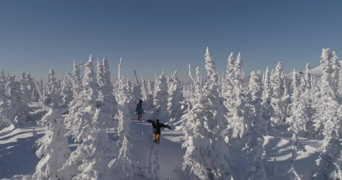 Epic shot. Group Of Skiers Skiing Cross Country. Ski touring and splitboarding concept. 4k RAW footage