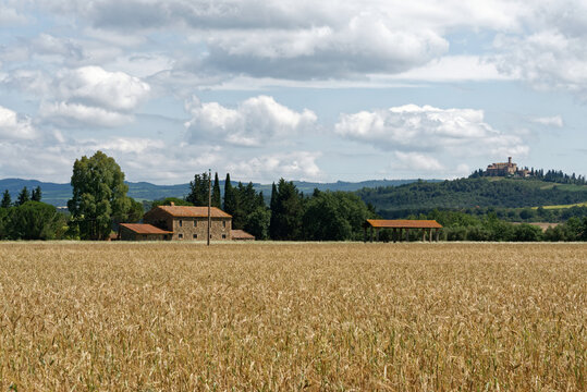 Poggio Bilder Durchsuchen 1,554 Archivfotos, und