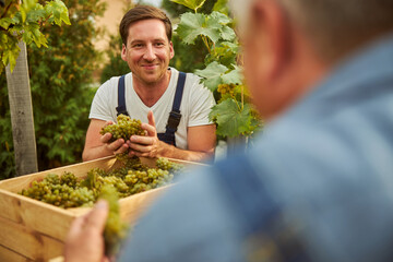 Cheerful man smiling and holding handfuls of grapes