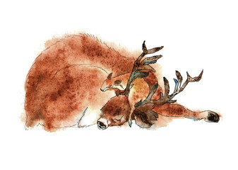 Watercolor clip-art dad deer sleeping with baby deer