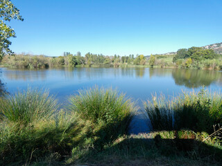 Fototapeta na wymiar Small lake with native vegetation