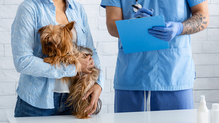 Closeup of veterinary doc writing out prescription for little dog at animal hospital