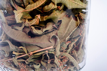 dried leaves of Aloysia citrodora,  lemon verbena