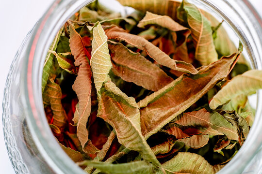 dried leaves of Aloysia citrodora,  lemon verbena