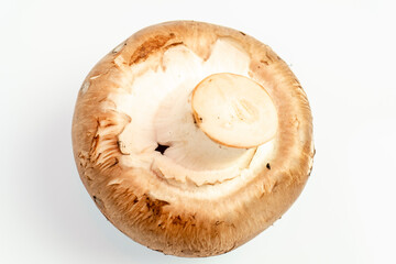 Portobello mushrooms, Agaricus Brunnescens