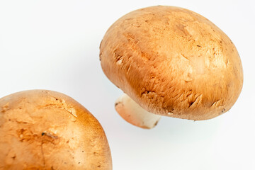 Portobello mushrooms, Agaricus Brunnescens