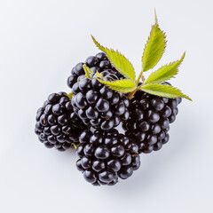 juicy blackberries on a white acrylic background