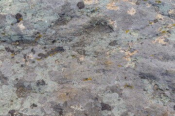 background and texture of stone surface with moss and lichens
