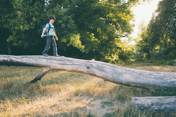 A boy with a backpack walks along the trunk of a fallen tree, a child learns to keep his balance